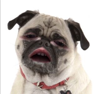 Meet your Posher, Janette